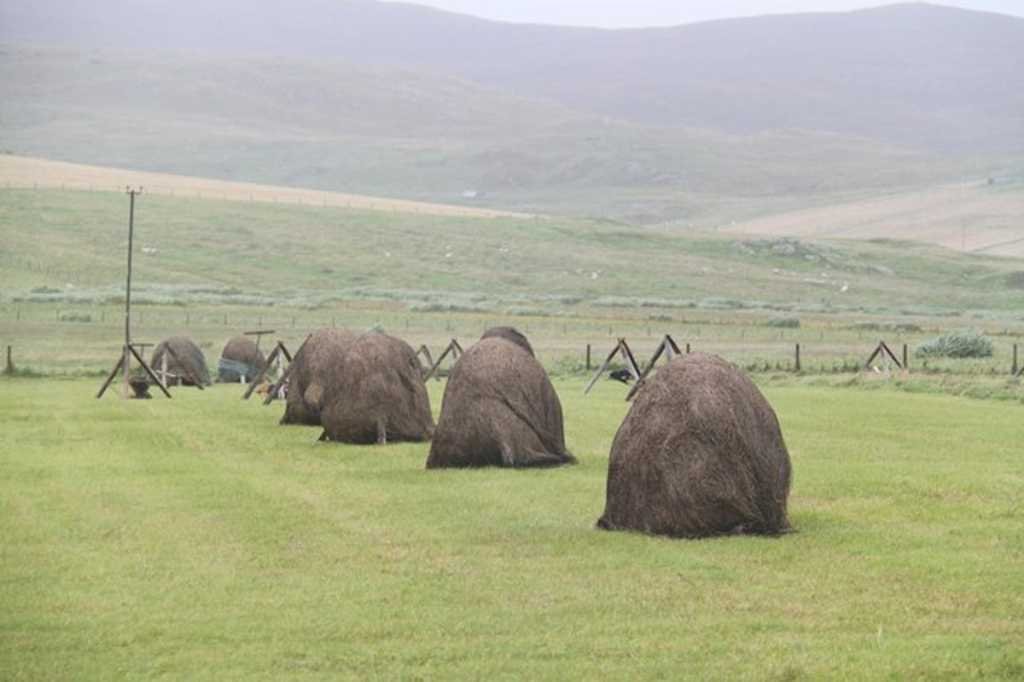 haystacks