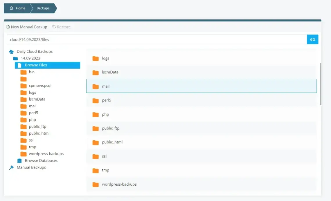 Backups and Disaster Recovery Strategies in Managed VPS Hosting, Ways to Back Up Your Website With ScalaHosting 2